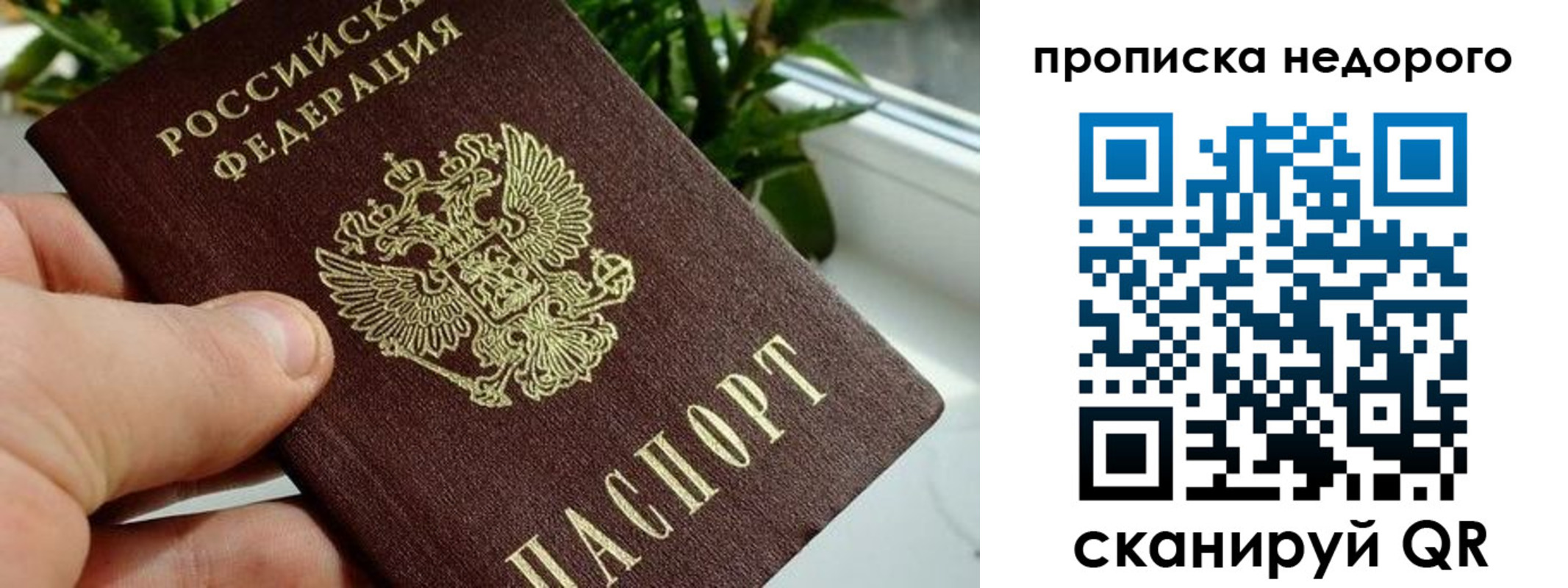 прописка для кредита в Домодедово