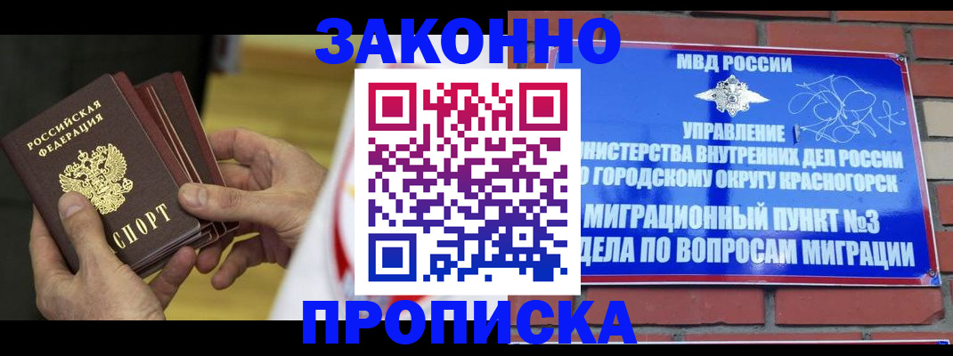 прописка для школы в Домодедово